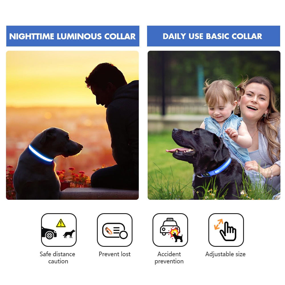 MASBRILL Dog Collar Luminous Pet Supplies Dog Collar Waterproof Safety Collars