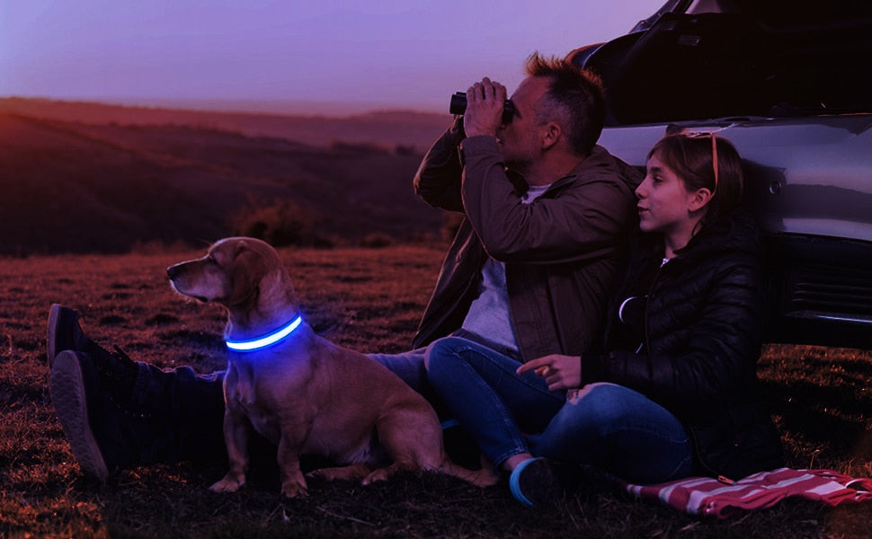 MASBRILL Dog Collar Luminous Pet Supplies Dog Collar Waterproof Safety Collars