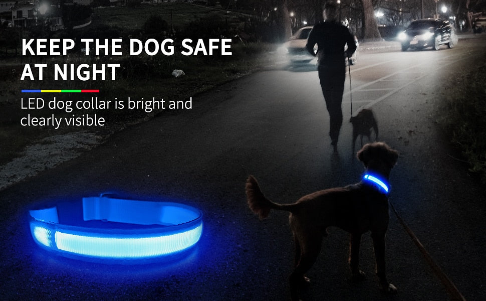 MASBRILL Dog Collar Luminous Pet Supplies Dog Collar Waterproof Safety Collars
