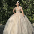 (LIVE 50) Fine gowns, 3D embroidery, weave dreamy tales.